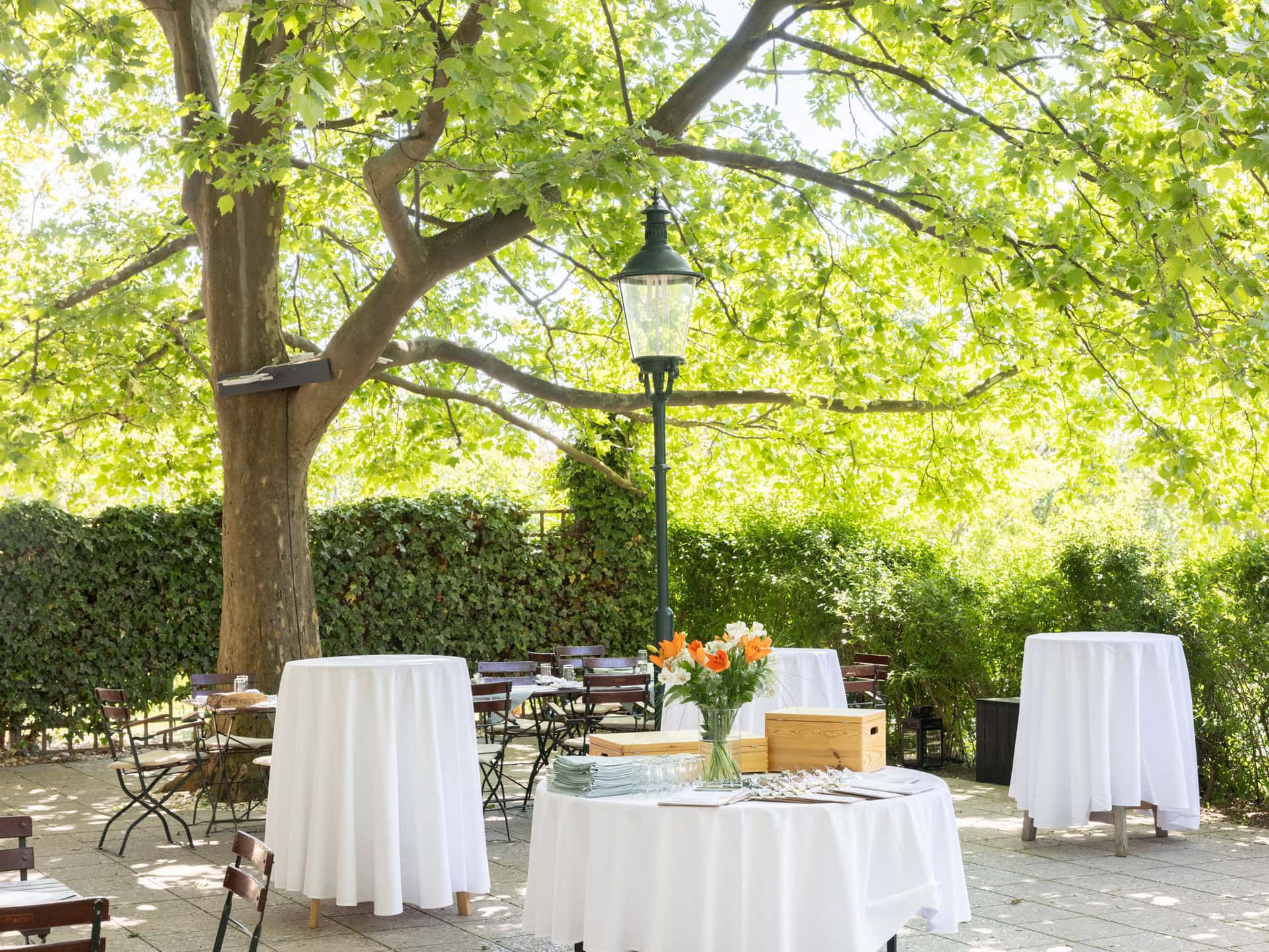 © Adrian Almasan | www.adrianalmasan.com