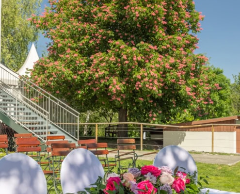 © Adrian Almasan | www.adrianalmasan.com