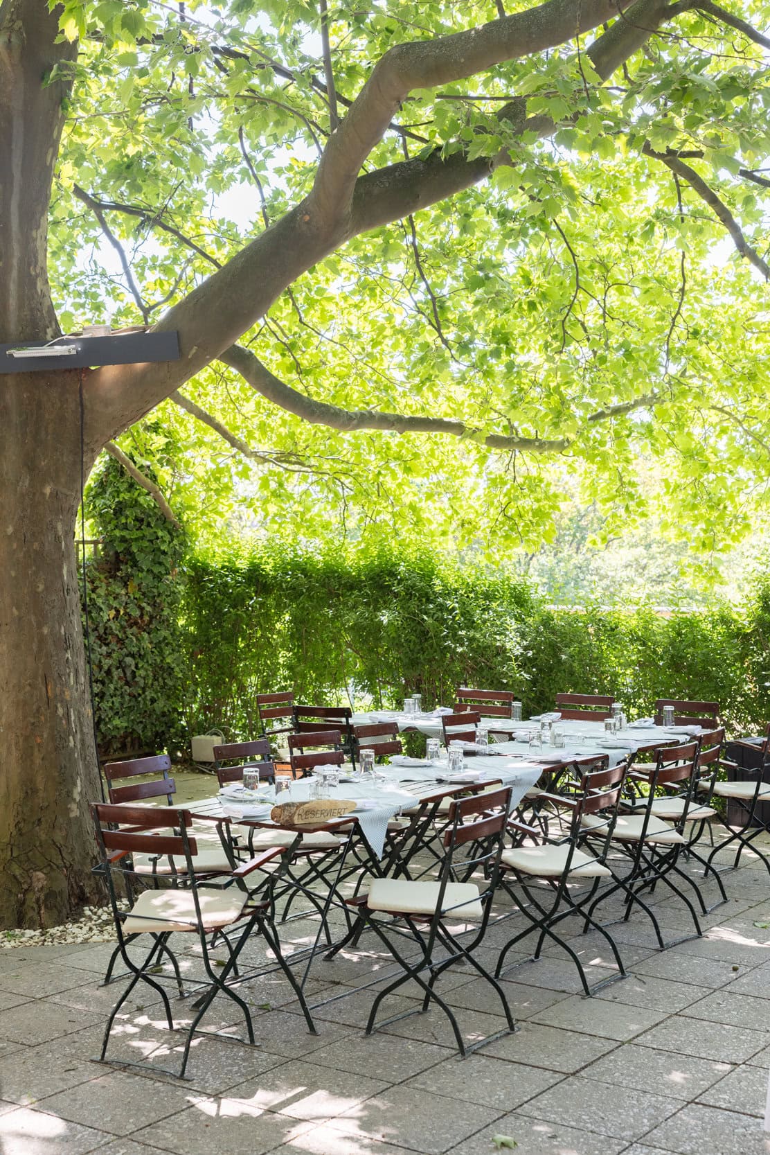 © Adrian Almasan | www.adrianalmasan.com