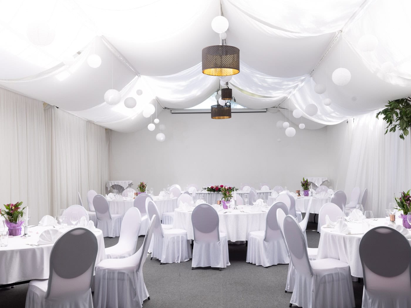 © Adrian Almasan | www.adrianalmasan.com