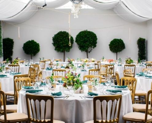 Festzelt_Almasan Festzelt mit elegant gedeckten Tischen, goldenen Stühlen und dekorativen Pflanzen, ideal für Veranstaltungen bis zu 120 Personen, mit transparentem Dach und LED-Beleuchtung für stimmungsvolle Feiern.